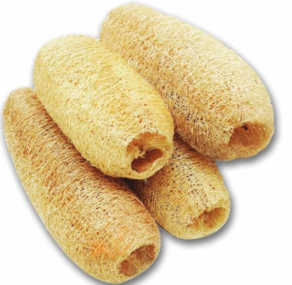 Natural_Loufah_Sponge Body_Scrubber(15-20inch, Pack-4)