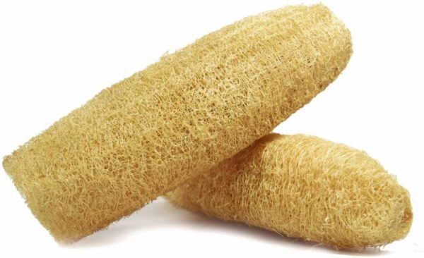 Natural_Loufah_Sponge Body_Scrubber(15-20inch, Pack-2)