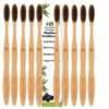 10 Adult Bamboo Toothbrush