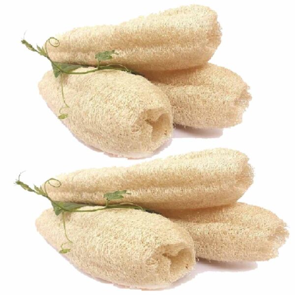 Natural_Loufah_Sponge Body_Scrubber(15-20inch, Pack-6)