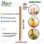 1 Bamboo Cotton ear bud/swab|80 wood stem/160 Swab|1 Adult bamboo toothbrush|4 Bamboo Straw (8″) (PACK OF 6)