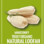 what is loofah ?