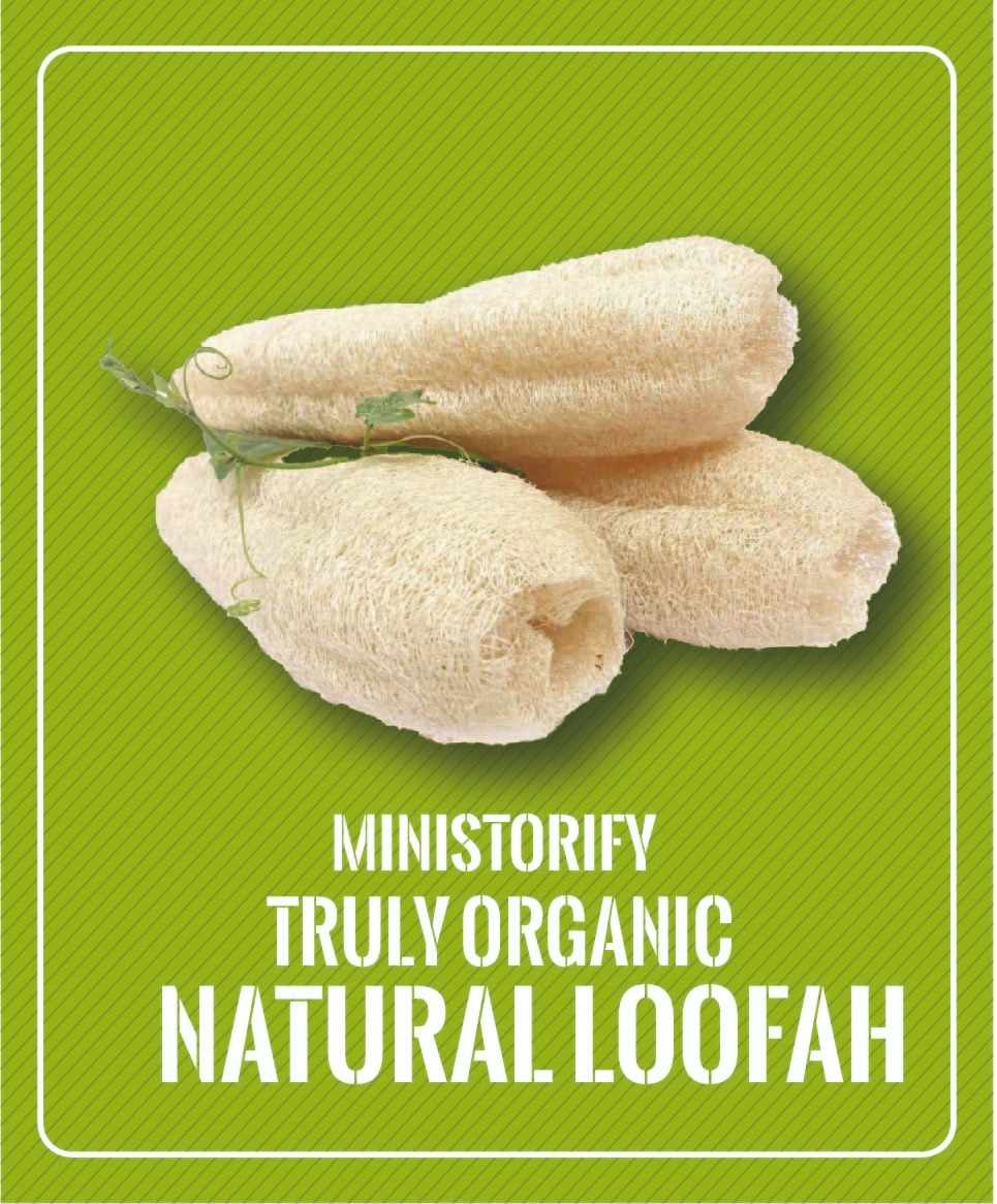 You are currently viewing what is loofah ?