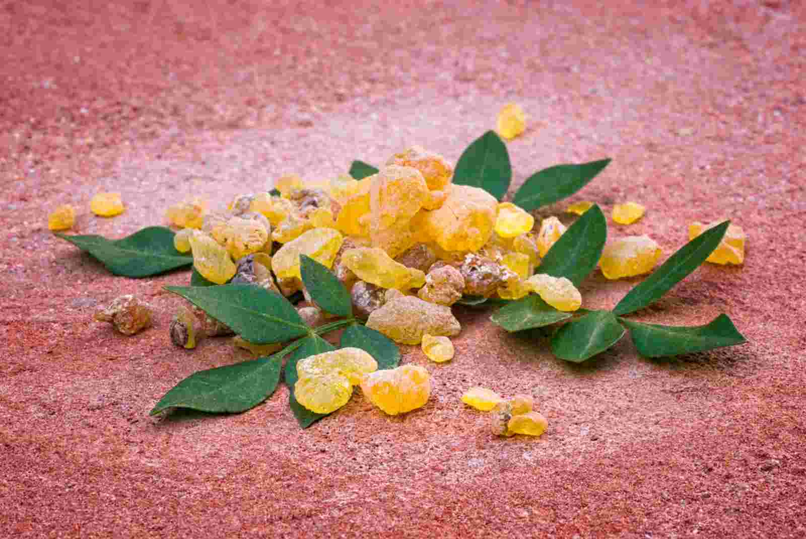 Read more about the article what is frankincense resin ???