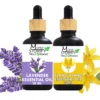 Essential Oil of Lavender and Ylang Ylang